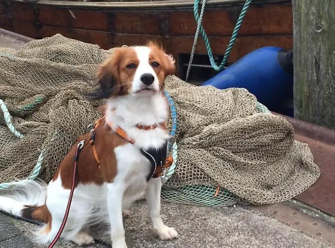 Buesumer Reethus 1 7 Apartamento *